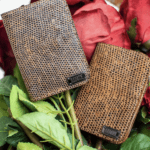 Digo Card Holder - Natural Lizard Skin