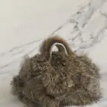 Kach Brown & Blond Tipped Rabbit Fur