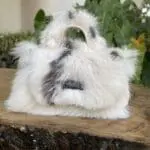 Kach White & Grey Stripe Rabbit Fur