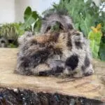 Kach Brown Cheetah Print Rabbit Fur