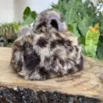 Kach Brown Cheetah Print Rabbit Fur