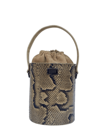 Aara Natural Python Reptile