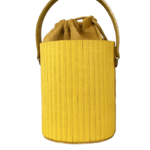 Aara Yellow Pinstripes (vertical)