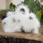 Kach White & Brown Spot Rabbit Fur
